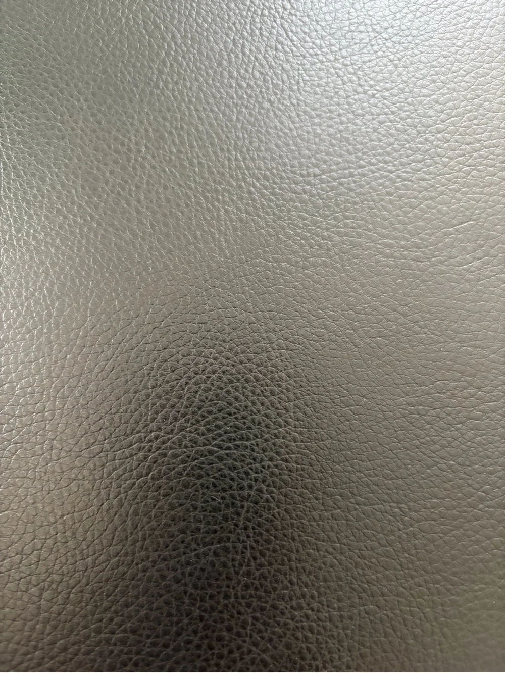Leather organizer